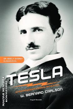 W. Bernard Carlson - Princeton University - Tesla - Az elektromossg kornak feltallja