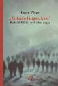 Csere Péter - Zuhanó lángok közt