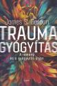 James S. Gordon - Traumagygyts