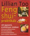 Lillian Too - Feng shui praktikák ANTIKVÁR