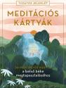  - Meditcis krtyk