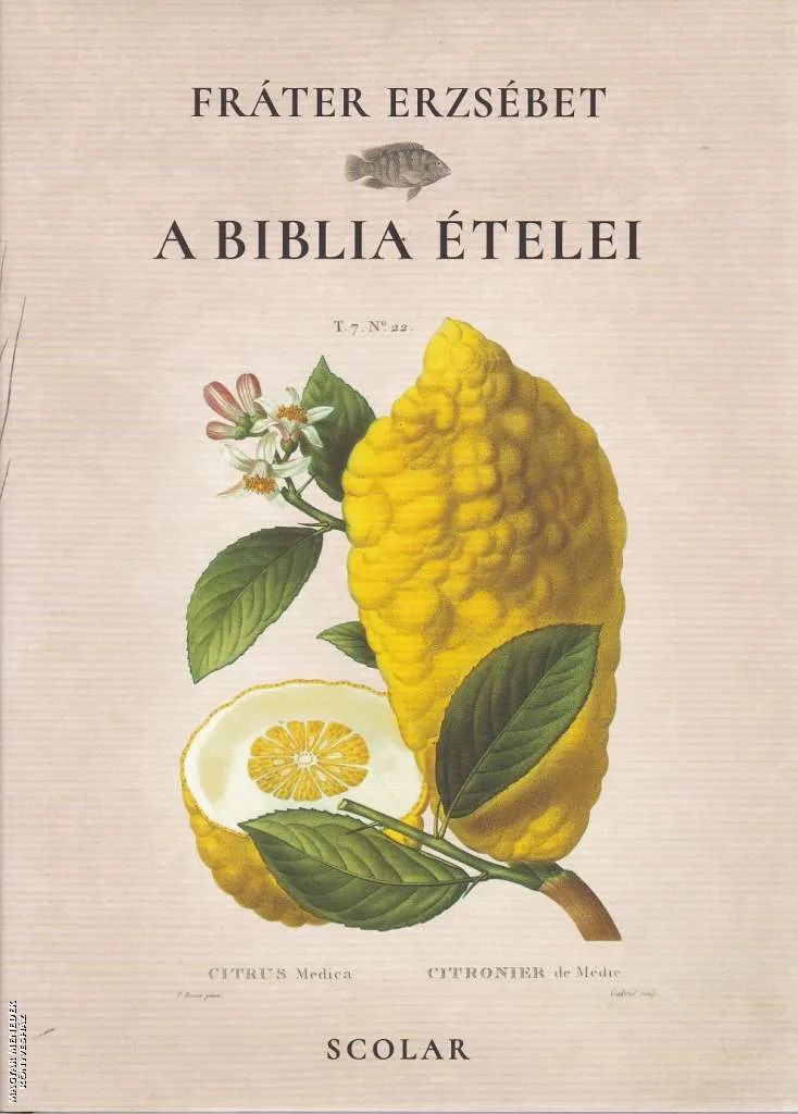 A Biblia ételei