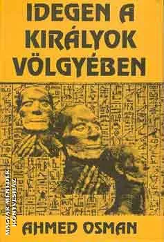 Idegen a Királyok Völgyében