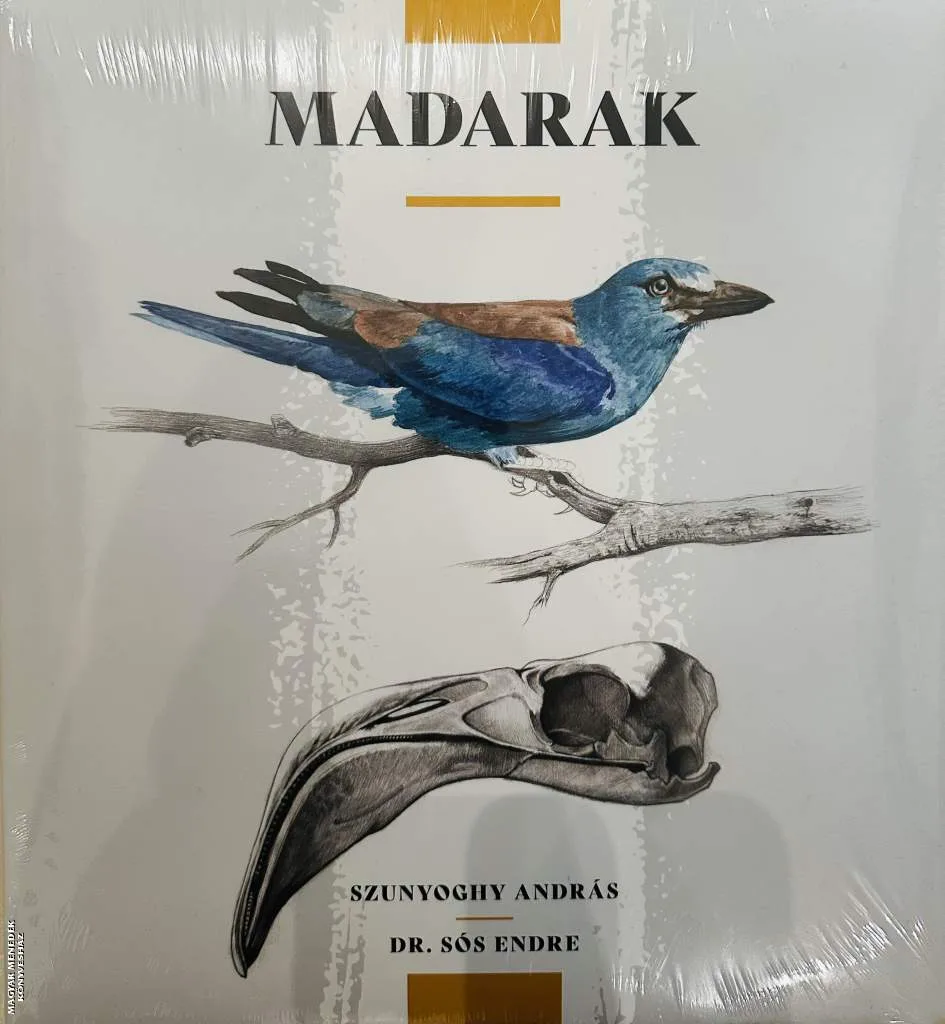 Madarak