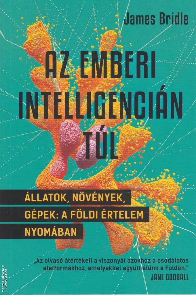Az emberi intelligencián túl