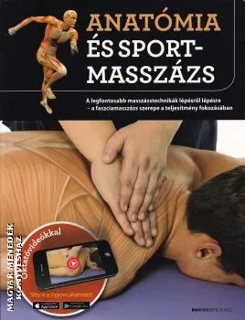 Anatómia és sportmasszázs