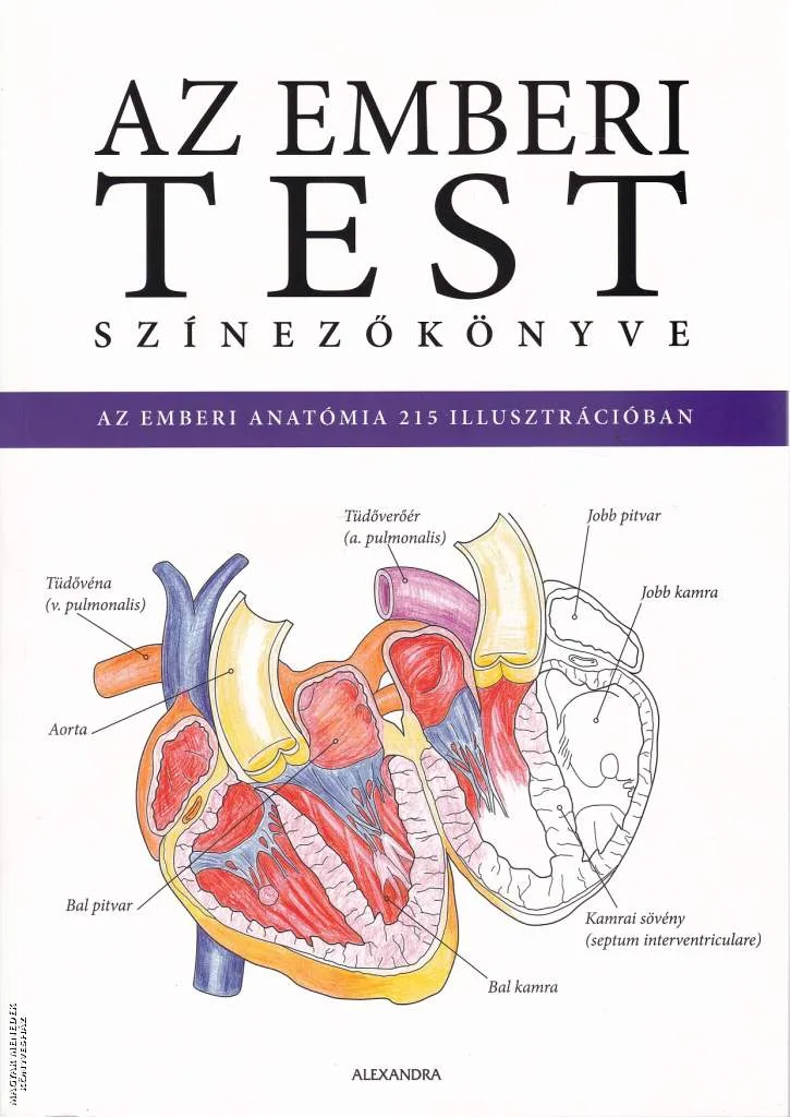 Az emberi test színezőkönyve