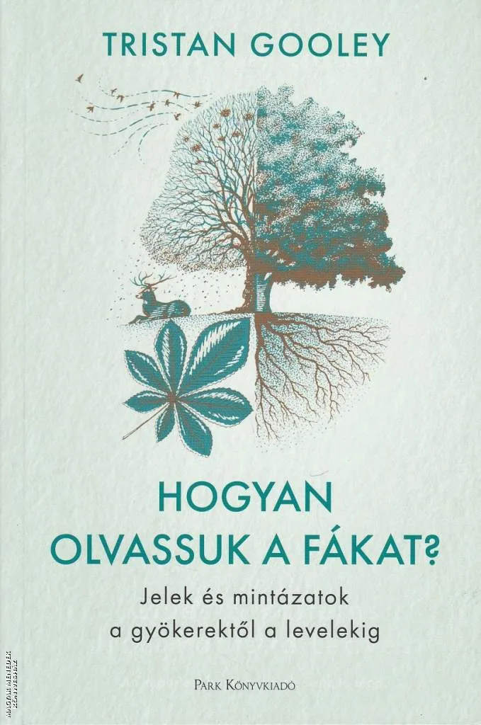 Hogyan olvassuk a fákat?