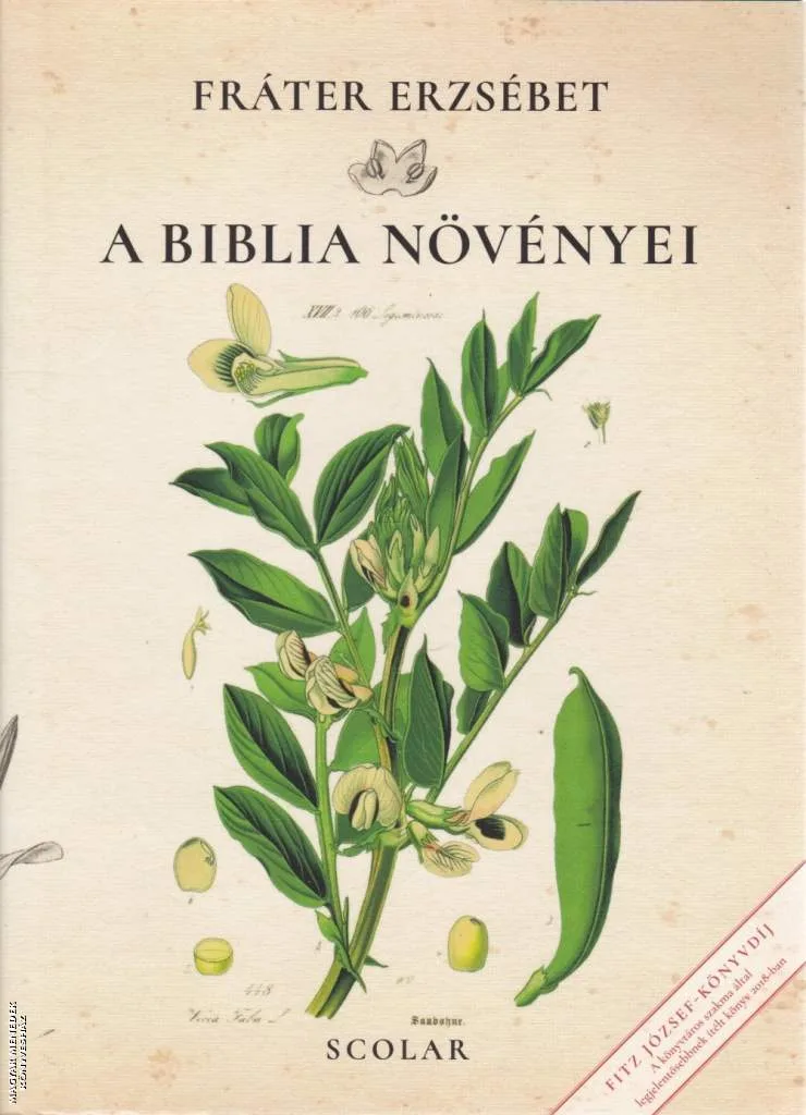 A Biblia növényei