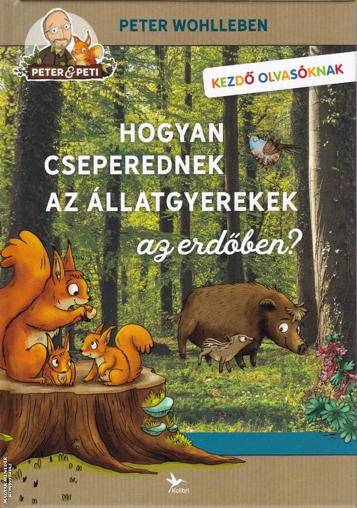 Hogyan cseperednek az állatgyerekek az erdőben?