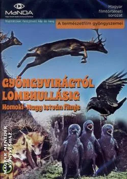 Gyöngyvirágtól lombhullásig DVD