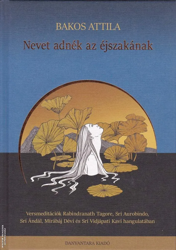 Nevet adnék az éjszakának