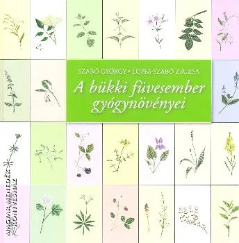 A bükki füvesember gyógynövényei