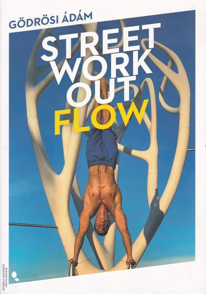 Street workout flow