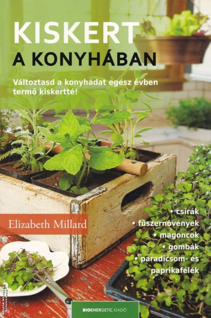 Kiskert a konyhában