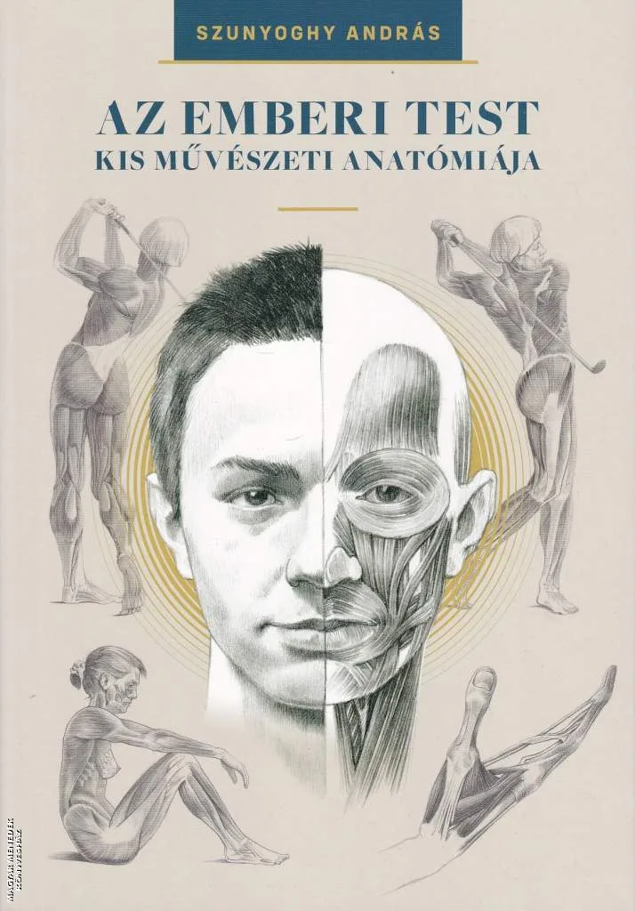 Az emberi test kis művészeti anatómiája