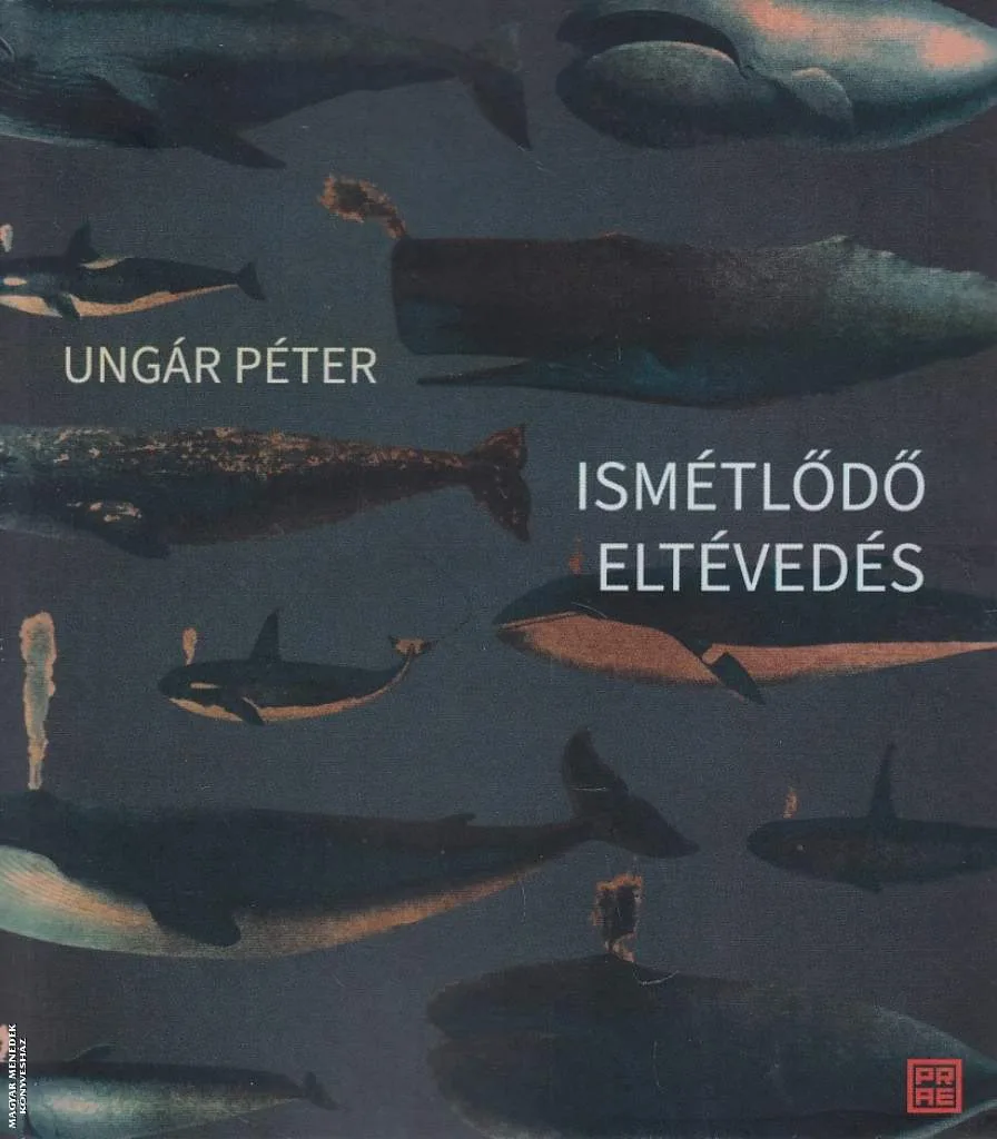 Ismétlődő eltévedés