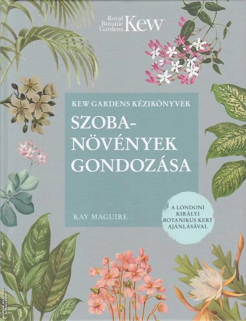 Szobanövények gondozása