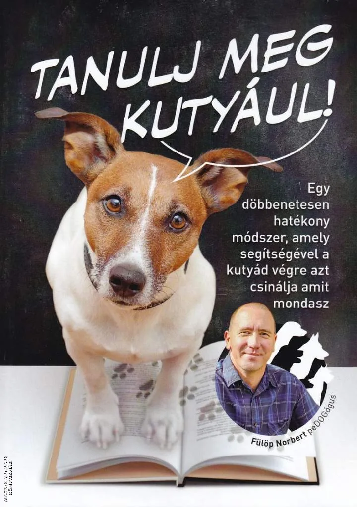 Tanulj meg kutyául!