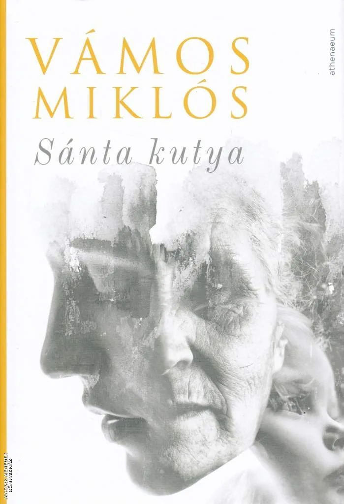 Sánta kutya