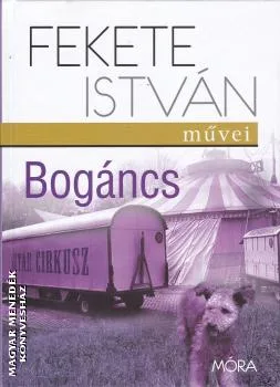 Bogáncs