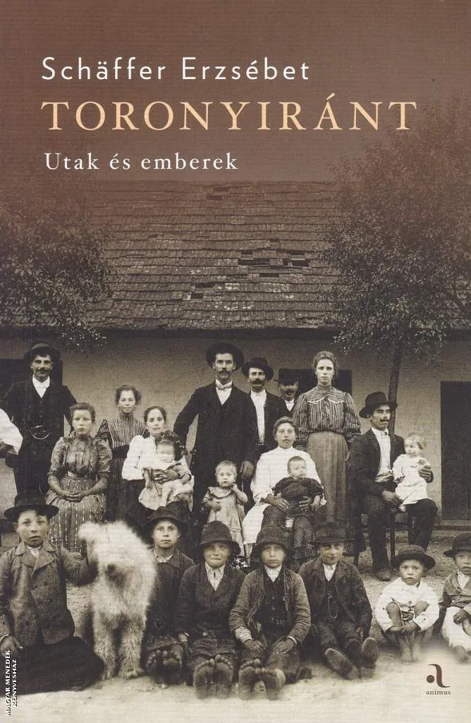 Toronyiránt