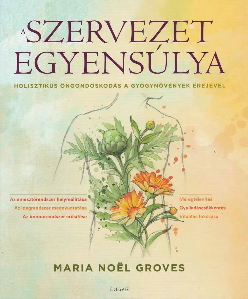 A szervezet egyensúlya