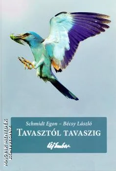 Tavasztól tavaszig