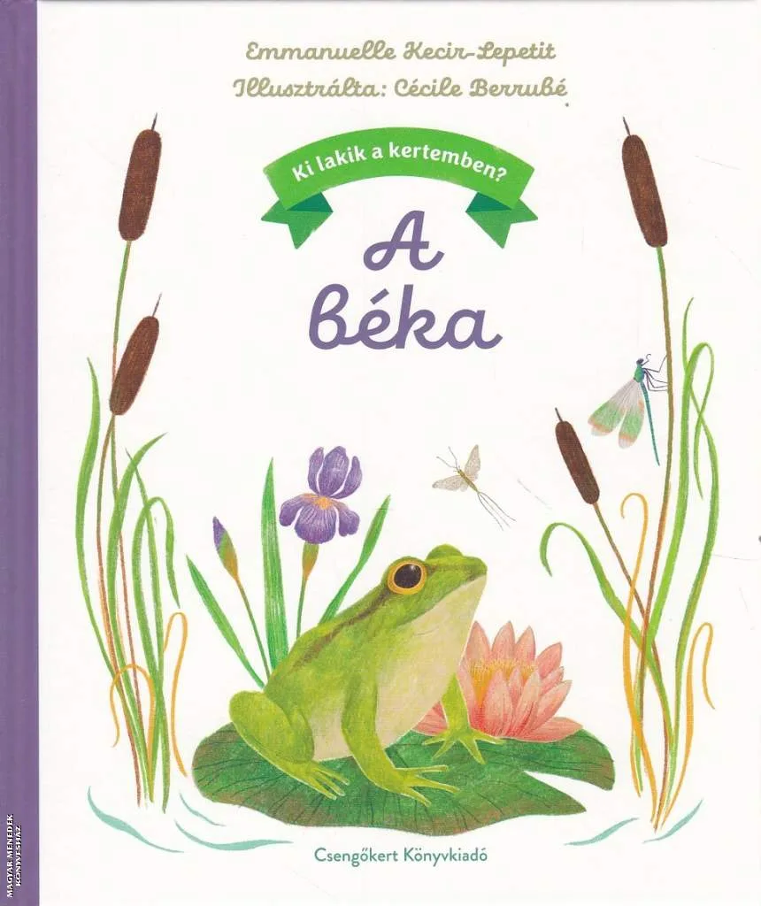 A béka - Ki lakik a kertemben?