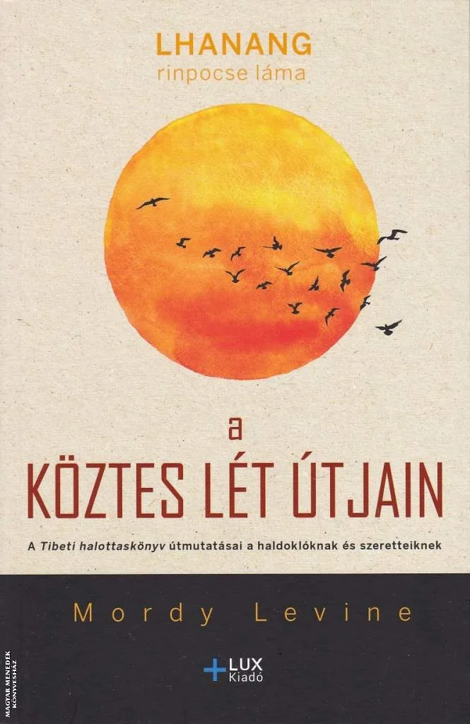 A köztes lét útjain