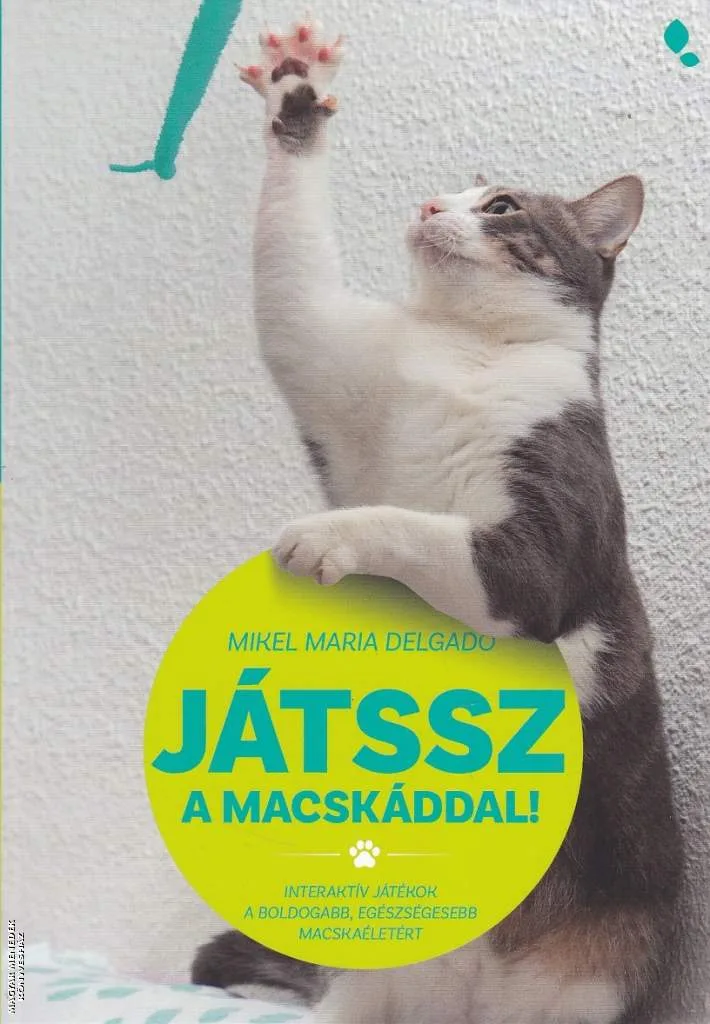 Játssz a macskáddal!