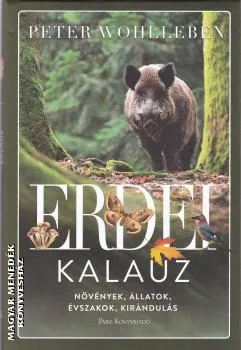Erdei kalauz