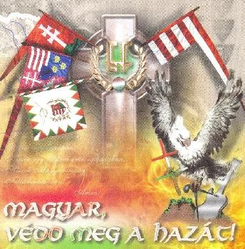 Egészséges Fejbőr póló