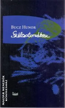 Szélcsatornában