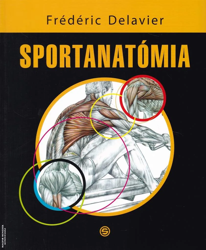 Sportanatómia