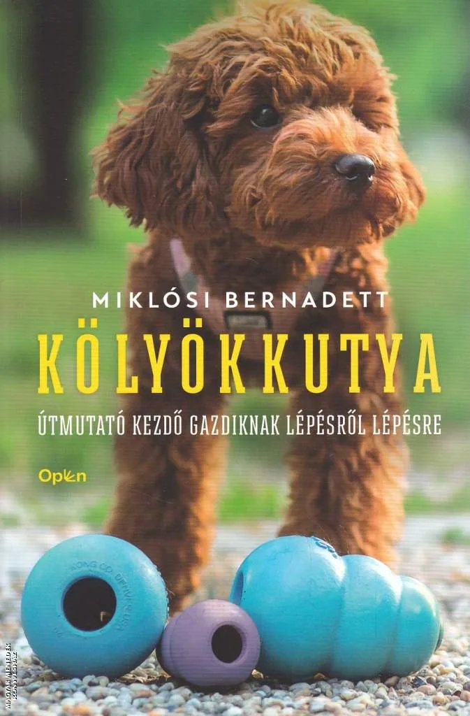 Kölyökkutya