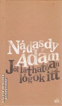 Jól láthatóan lógok itt