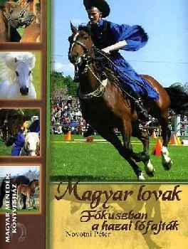 Magyar lovak