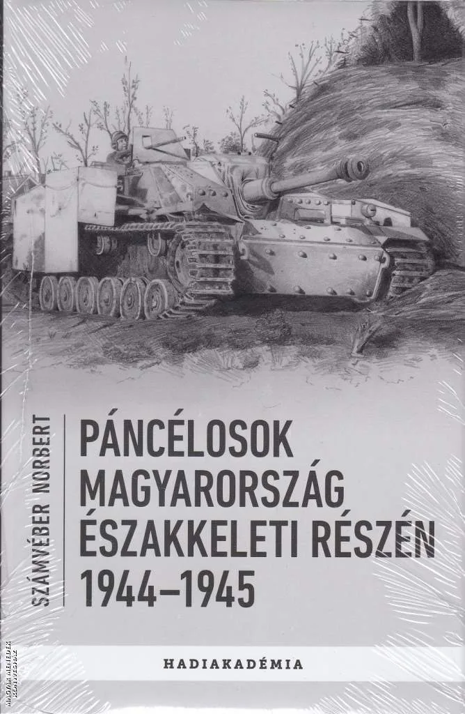 Páncélosok Magyarország északkeleti részén, 1944-1945