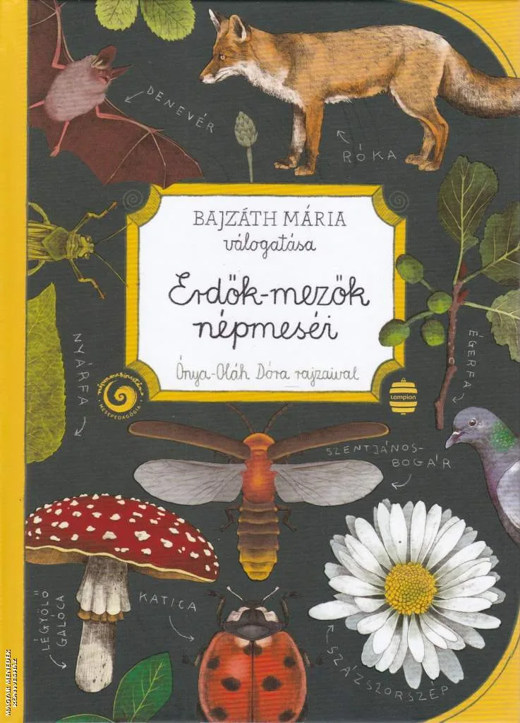 Erdők-mezők népmeséi
