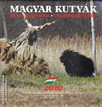 Magyar kutyák - 2020 falinaptár