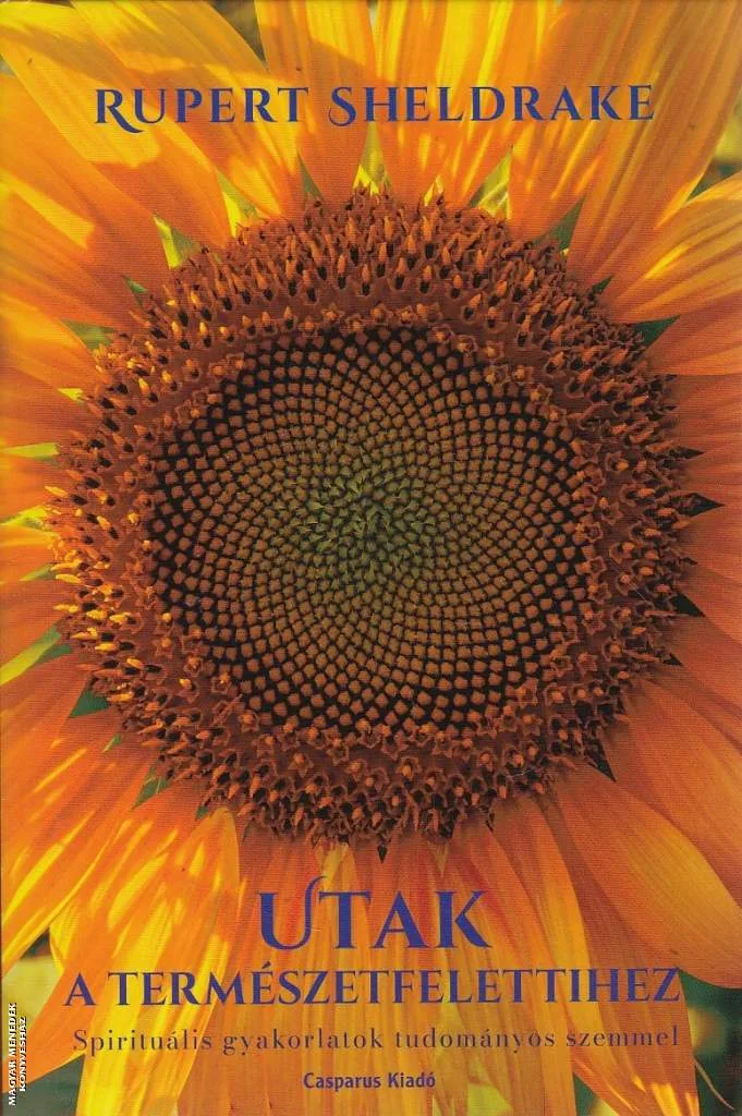 Utak a természetfelettihez