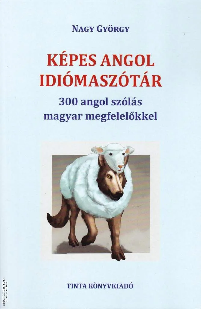 Képes angol idiómaszótár