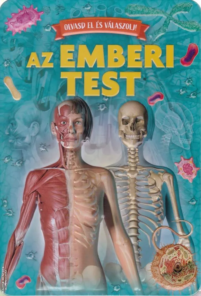 Olvasd el és válaszolj! - Az emberi test