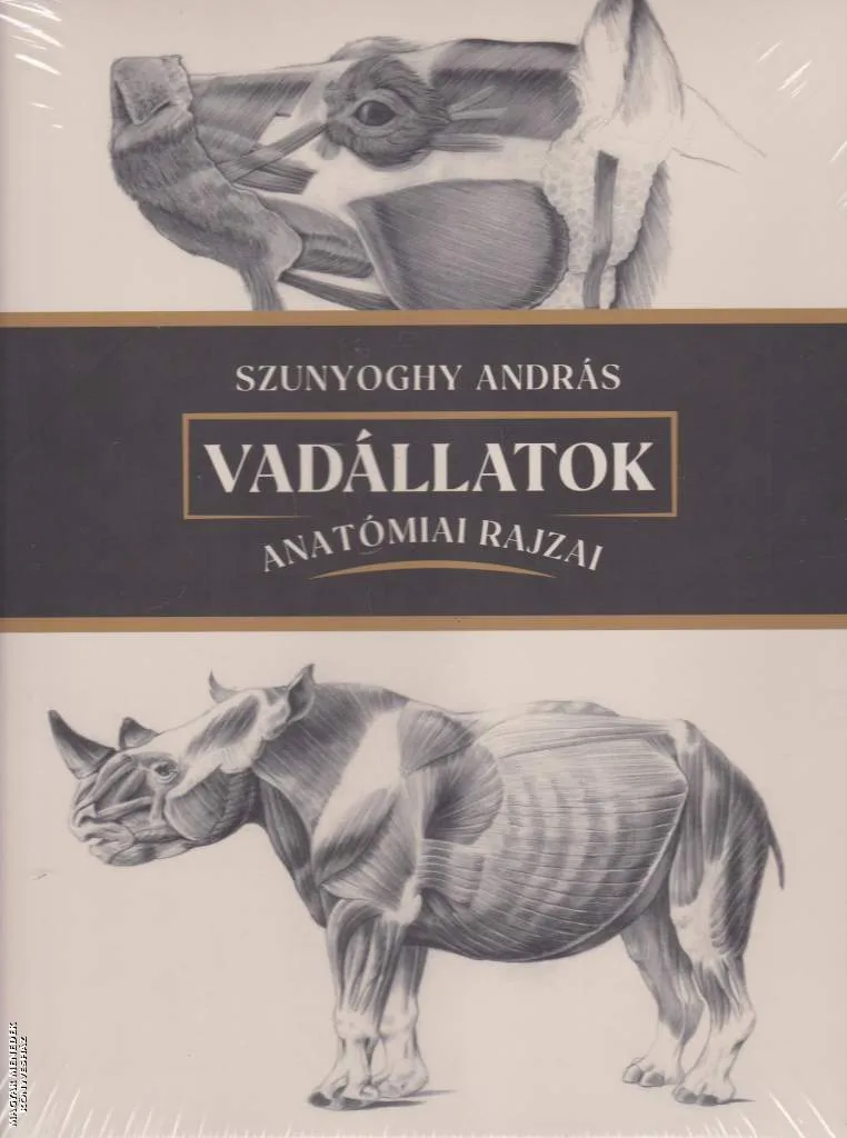 Vadállatok anatómiai rajzai