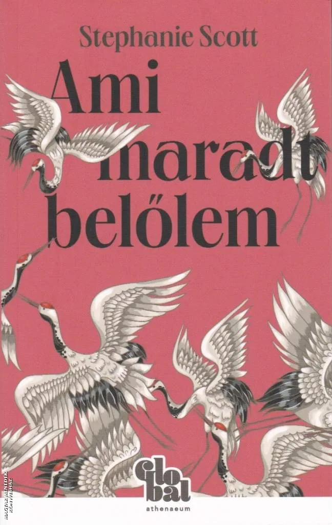 Ami marad belőlem