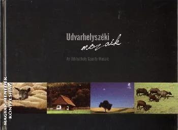 Udvarhelyszéki mozaik