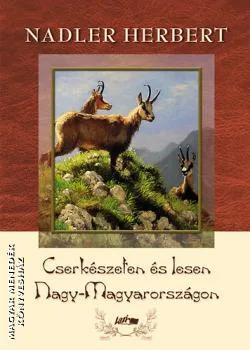 Cserkészeten és lesen Nagy-Magyarországon
