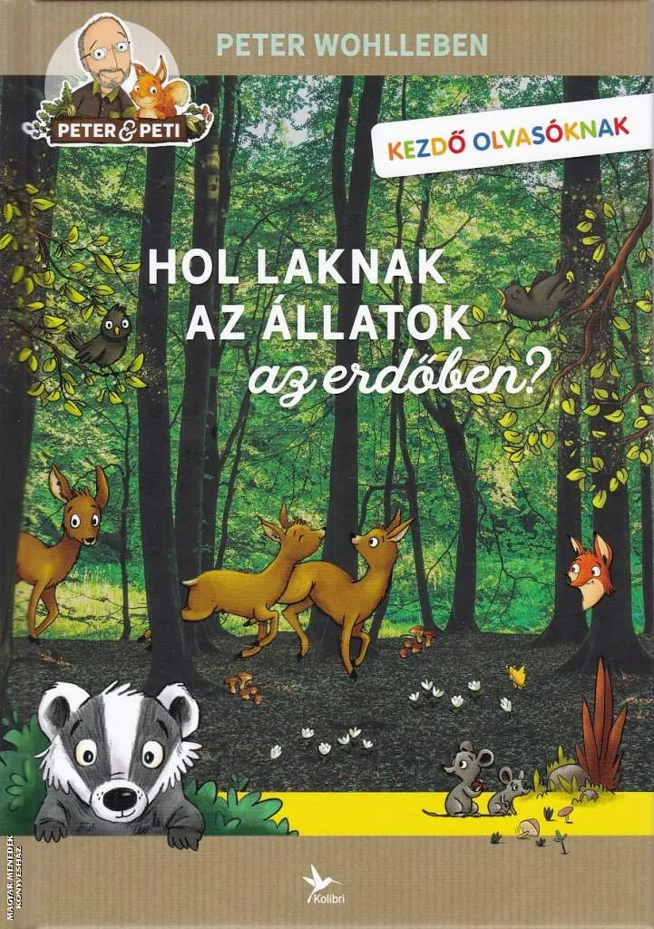 Hol laknak az állatok az erdőben?