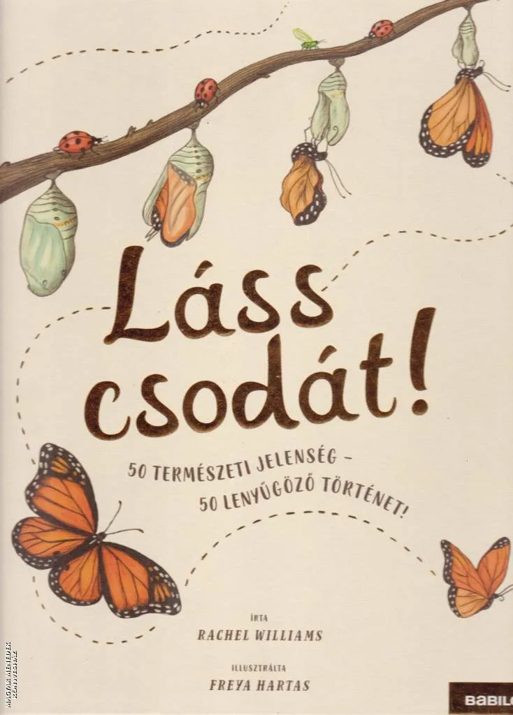 Láss csodát!